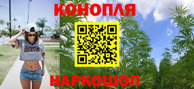 крисы Краснознаменск
