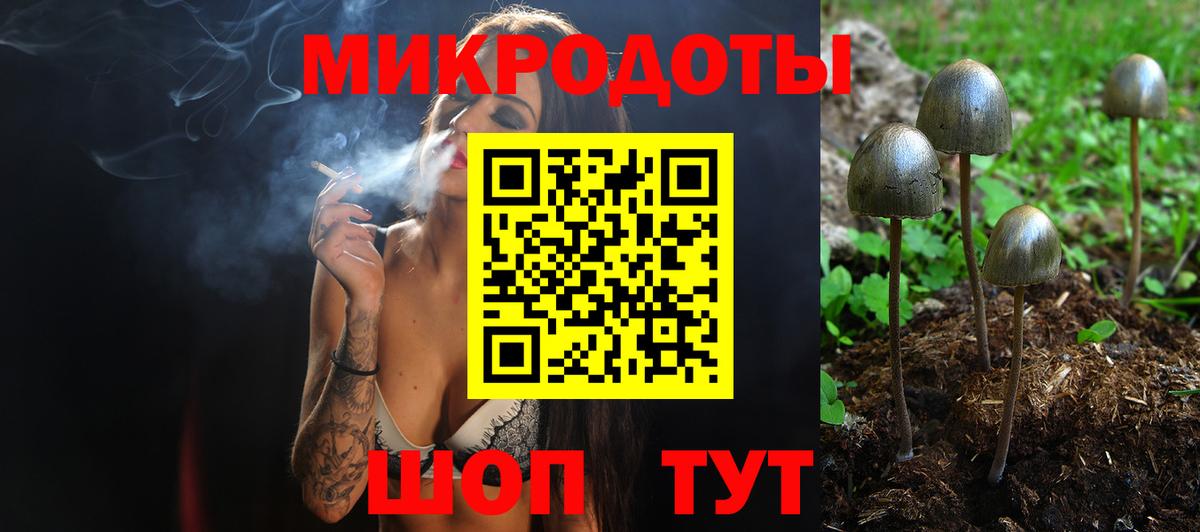 Заводоуковск  Псилоцибиновые грибы прущие грибы  цены наркотик  Вход с VPN 